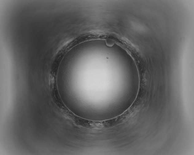 X0000112731302200908201318