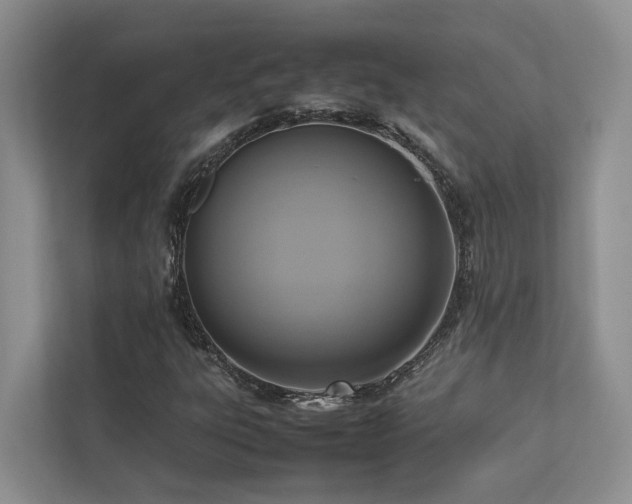 X0000112731303200908201318