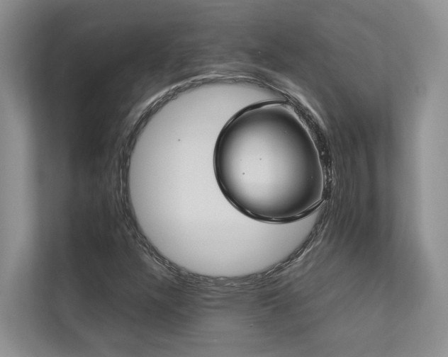 X0000112731304200908201318