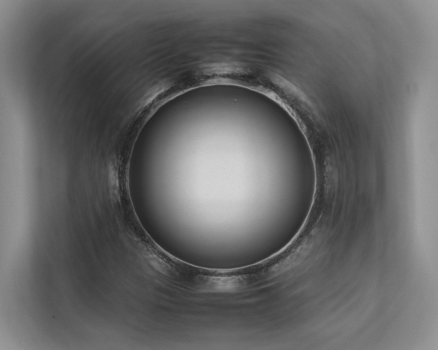 X0000112731305200908201318