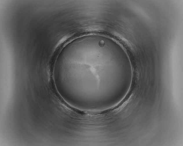 X0000112731306200908201318