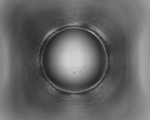 X0000112731308200908201318