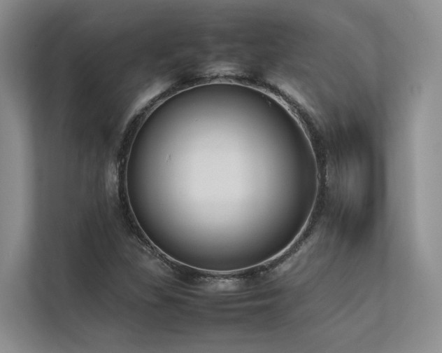 X0000112731309200908201318