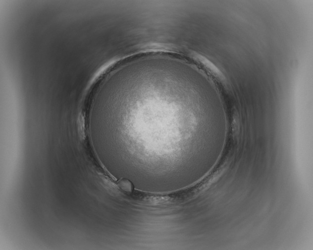 X0000112731310200908201318