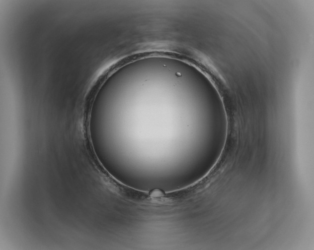 X0000112731312200908201318