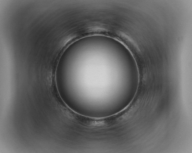 X0000112731313200908201318