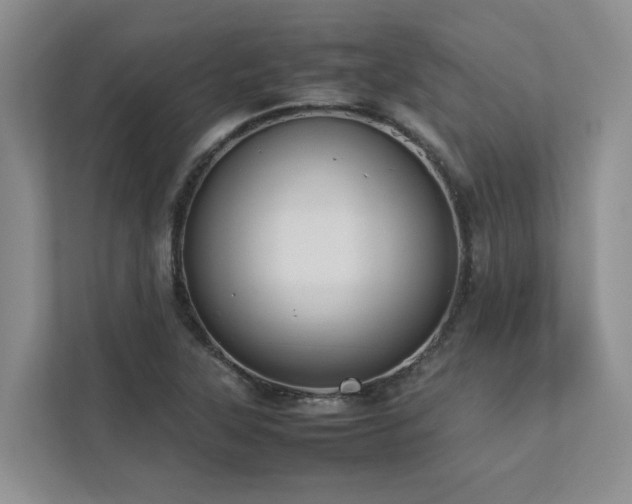 X0000112731315200908201318