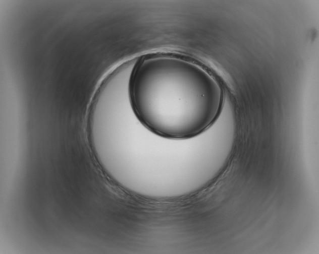 X0000112731316200908201318