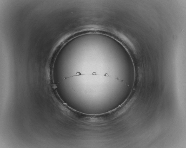 X0000112731318200908201318