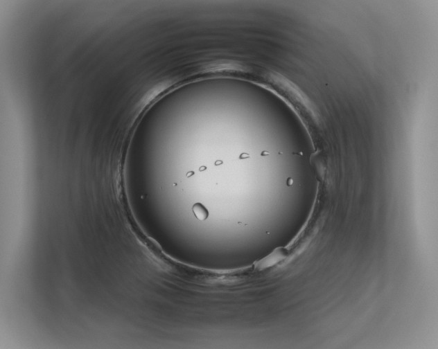 X0000112731321200908201318