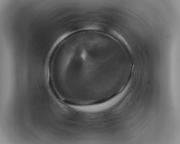 X0000112731323200908201318