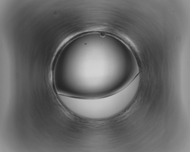 X0000112731324200908201318