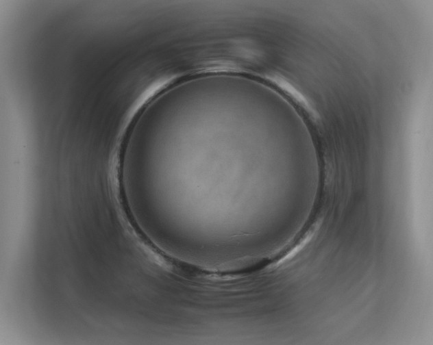 X0000112731325200908201318