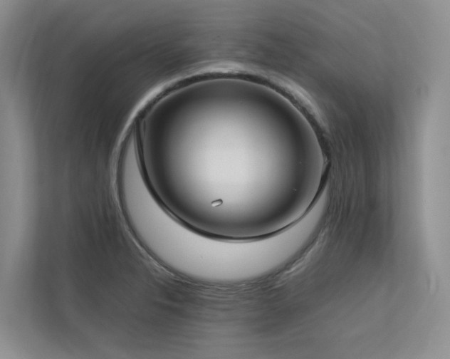 X0000112731326200908201318