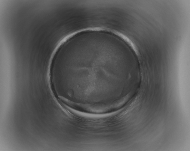 X0000112731327200908201318