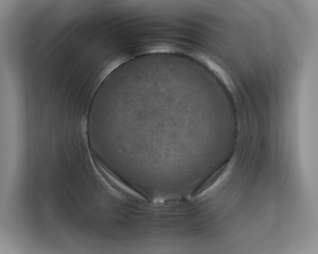 X0000112731329200908201318