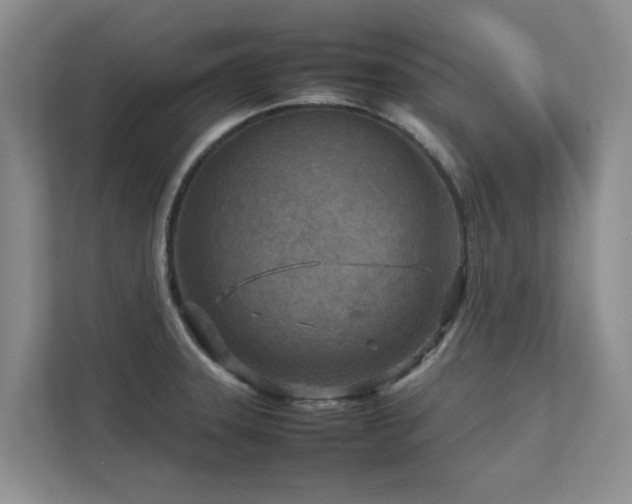 X0000112731331200908201318