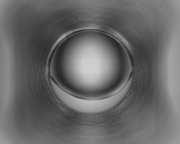 X0000112731332200908201318