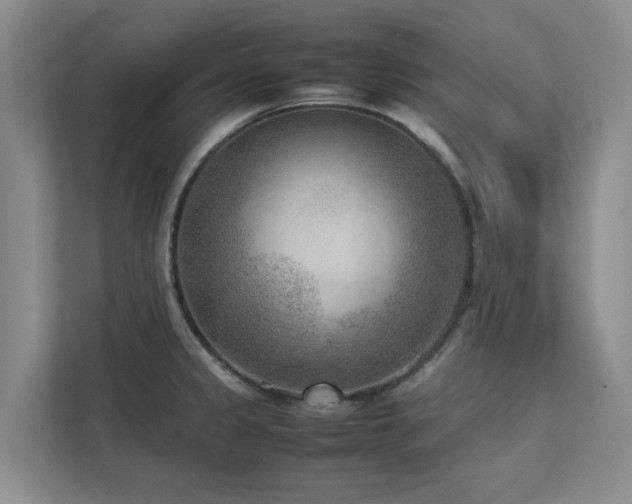 X0000112731333200908201318