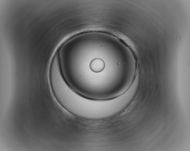 X0000112731334200908201318