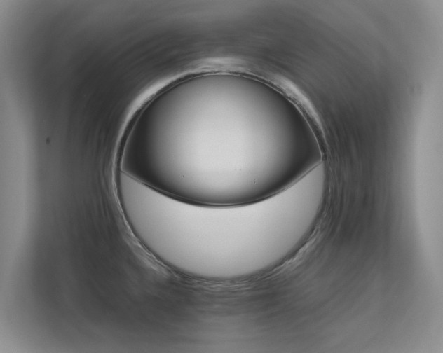 X0000112731336200908201318