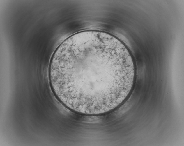 X0000112731338200908201318