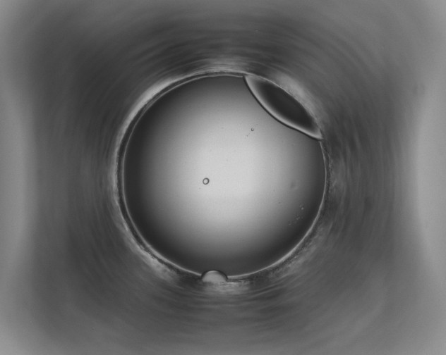 X0000112731339200908201318