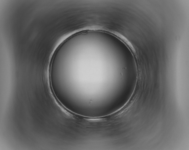 X0000112731343200908201318