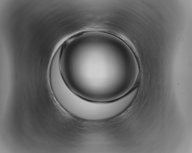 X0000112731344200908201318