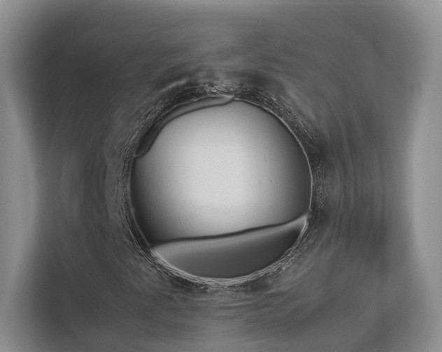 X0000112731345200908201317