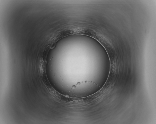 X0000112731346200908201317