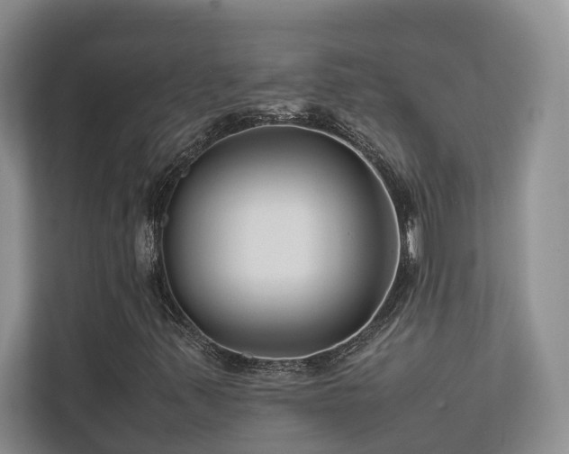 X0000112731347200908201317