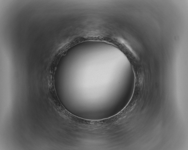 X0000112731350200908201317