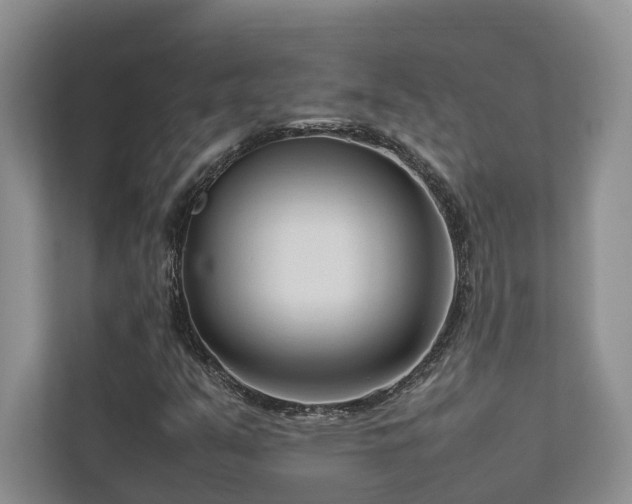 X0000112731351200908201317