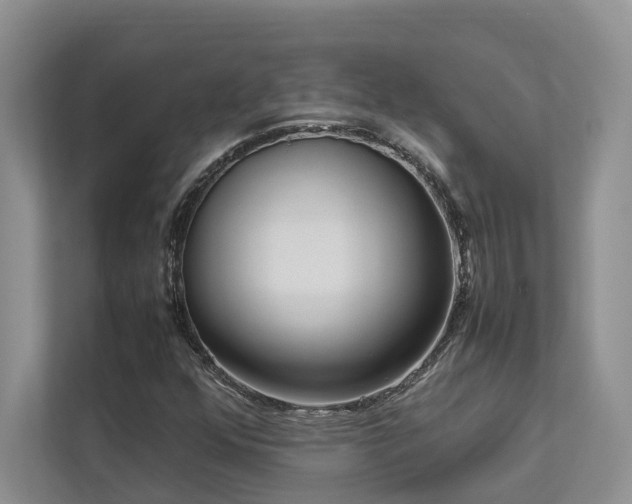 X0000112731352200908201317