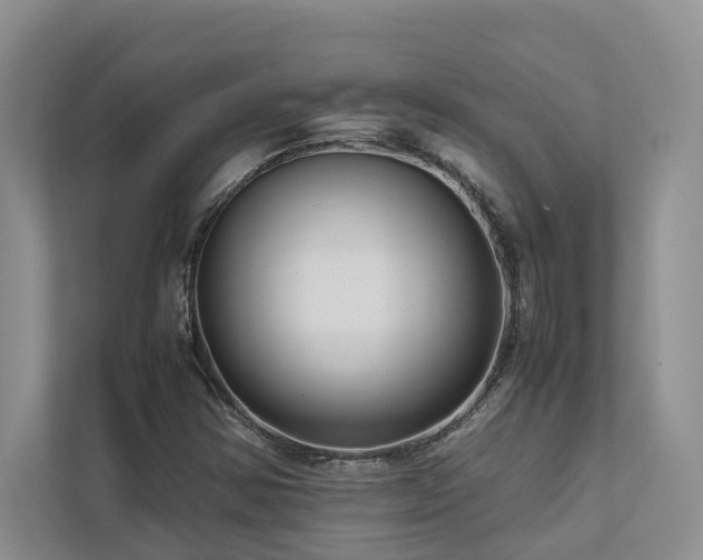 X0000112731354200908201317