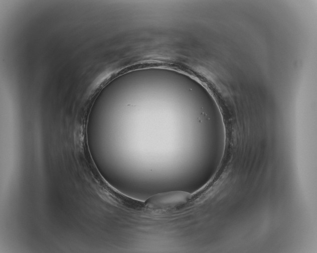 X0000112731355200908201317