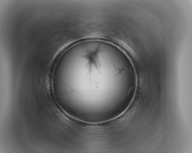 X0000112731356200908201317