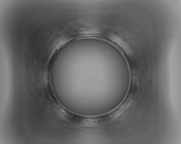 X0000112731357200908201317