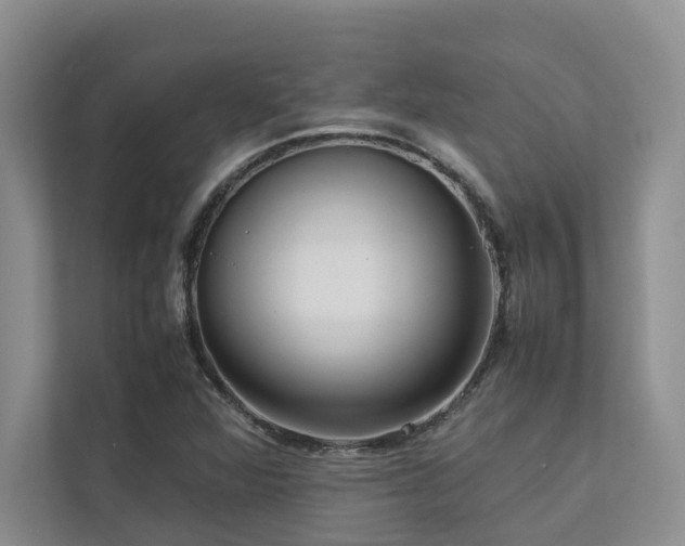 X0000112731360200908201317