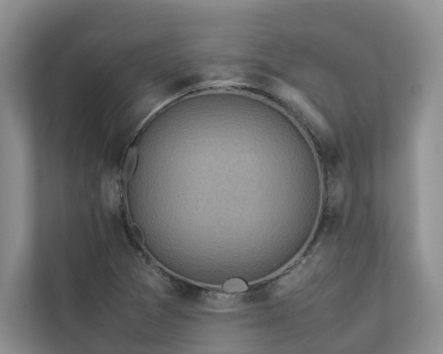 X0000112731361200908201317