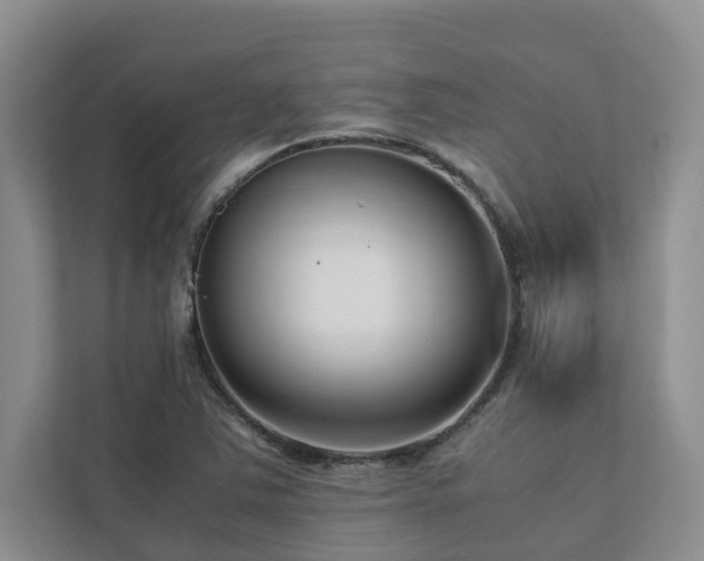 X0000112731363200908201317