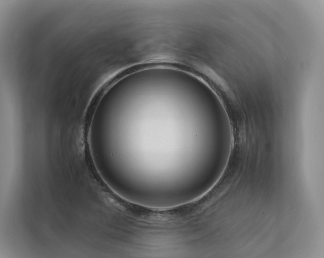 X0000112731364200908201317