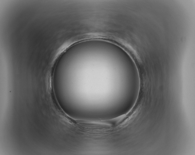 X0000112731365200908201317