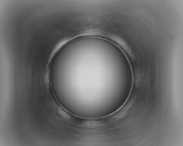 X0000112731366200908201317