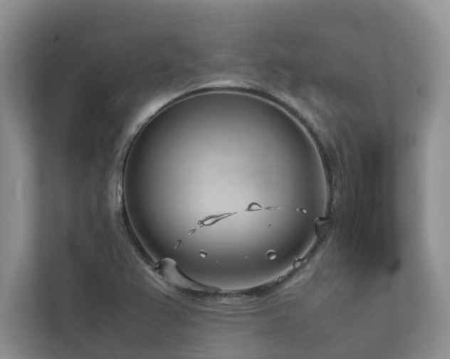 X0000112731367200908201317