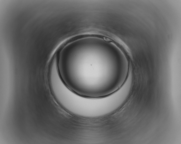 X0000112731368200908201317