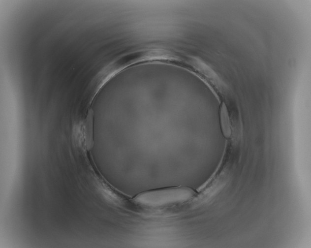 X0000112731369200908201317