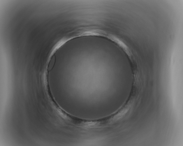 X0000112731373200908201317