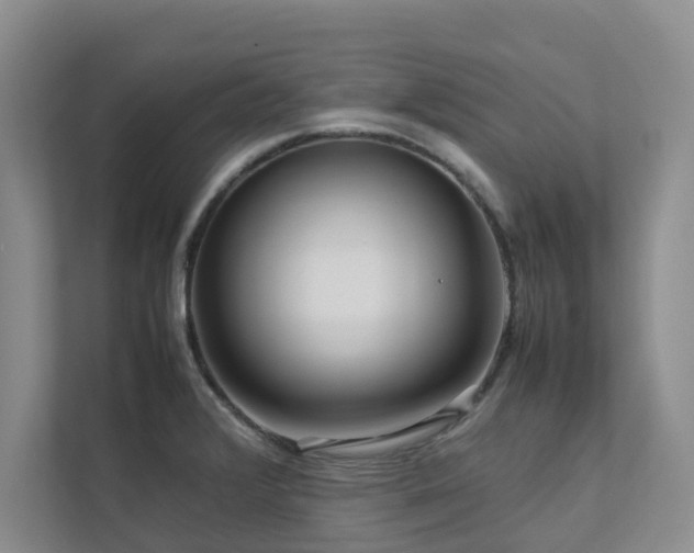 X0000112731376200908201317